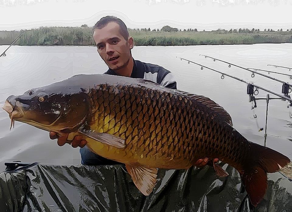 Best Off - 1491196609563069091498938262143n.jpg